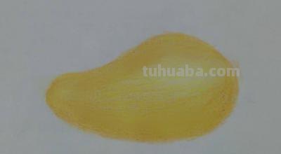 彩铅开始画什么（彩铅开始画什么画）