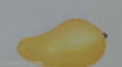 彩铅开始画什么（彩铅开始画什么画）