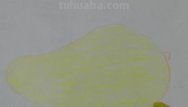 彩铅开始画什么（彩铅开始画什么画）