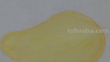 彩铅开始画什么（彩铅开始画什么画）