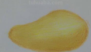 彩铅开始画什么（彩铅开始画什么画）