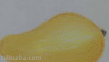 彩铅开始画什么（彩铅开始画什么画）