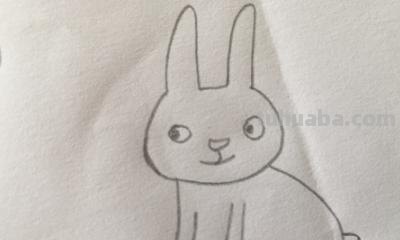 小兔子怎么画简笔画（可爱的小兔子怎么画简笔画）