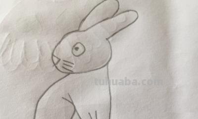 小兔子怎么画简笔画（可爱的小兔子怎么画简笔画）