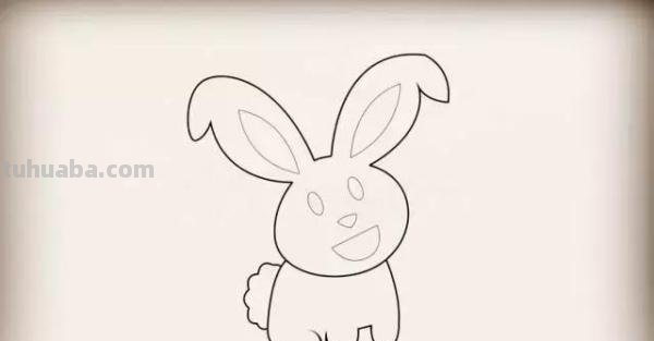 小兔子怎么画简笔画（可爱的小兔子怎么画简笔画）