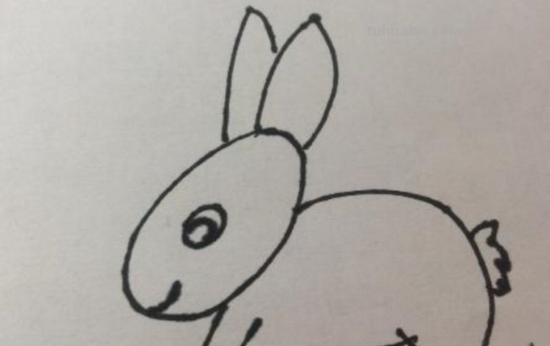 小兔子怎么画简笔画（可爱的小兔子怎么画简笔画）