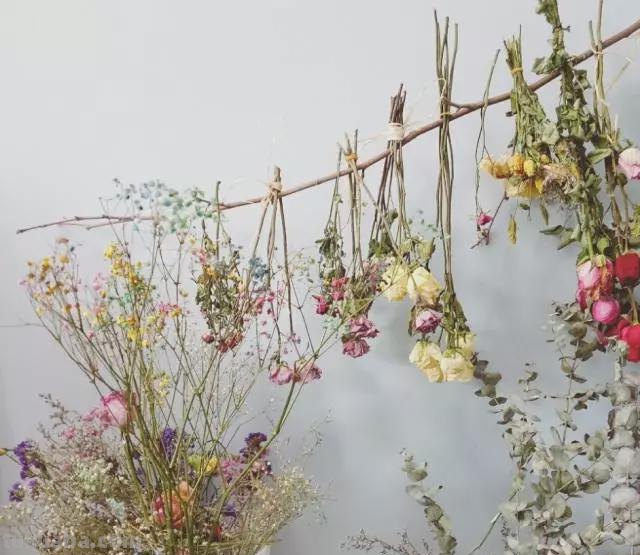 读书卡片怎么做干花（读书卡制作花边）