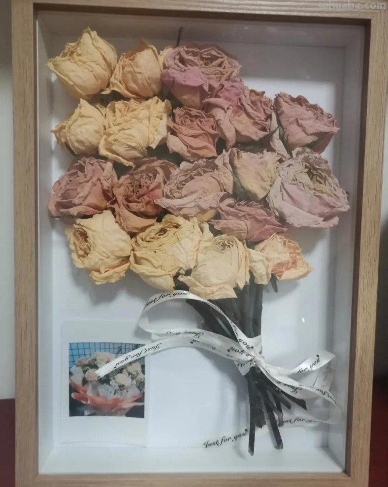 读书卡片怎么做干花(读书卡制作花边) 读书卡片怎么做干花(读书卡制作花边)