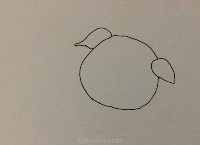 简笔画小猪怎么画（简笔画小猪怎么画的）