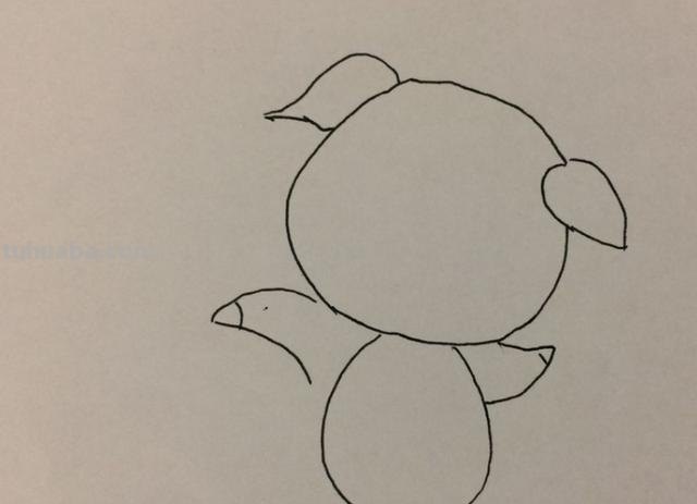 简笔画小猪怎么画（简笔画小猪怎么画的）