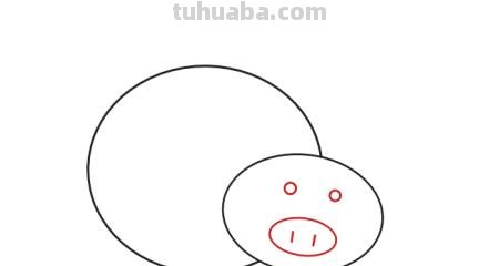 简笔画小猪怎么画（简笔画小猪怎么画的）