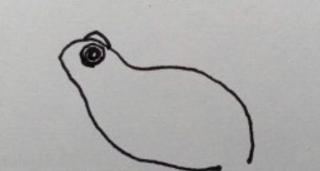 青蛙简笔画怎么画（）