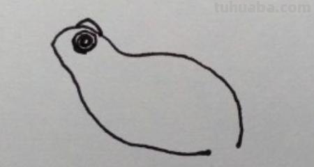 青蛙简笔画怎么画（）