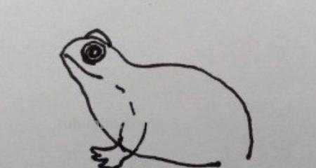 青蛙简笔画怎么画（）