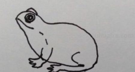 青蛙简笔画怎么画（）