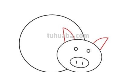 小猪简笔画怎么画（三只小猪简笔画怎么画）