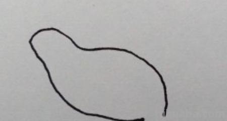 简笔画青蛙怎么画（）