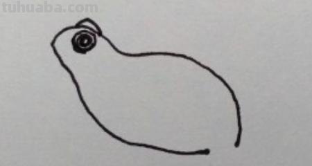 简笔画青蛙怎么画（）