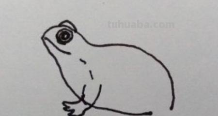 简笔画青蛙怎么画（）