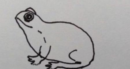 简笔画青蛙怎么画（）