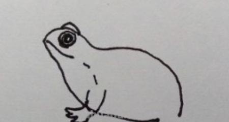 简笔画青蛙怎么画（）