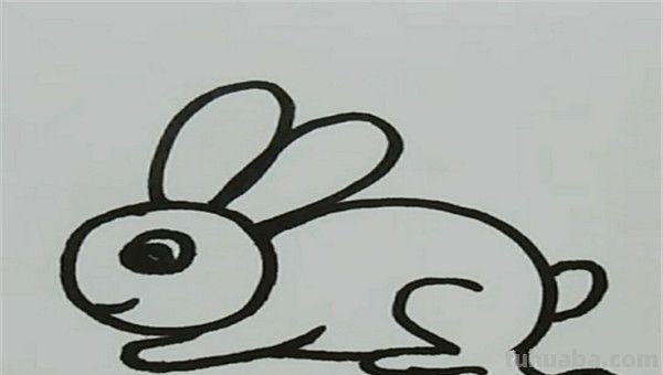 小兔子简笔画怎么画（小兔子小兔子简笔画怎么画）