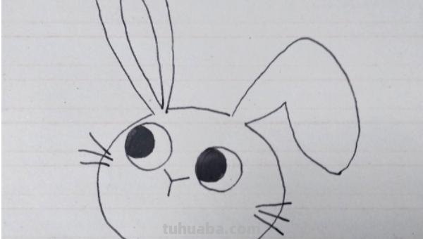 小兔子简笔画怎么画（小兔子小兔子简笔画怎么画）