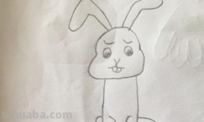 小兔子简笔画怎么画（小兔子小兔子简笔画怎么画）