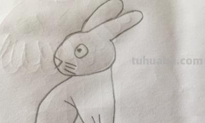 小兔子简笔画怎么画（小兔子小兔子简笔画怎么画）