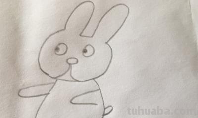 小兔子简笔画怎么画（小兔子小兔子简笔画怎么画）