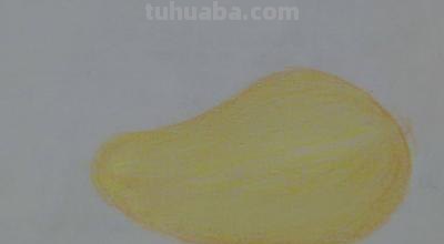 彩铅新手画什么（彩铅新手画什么好看）