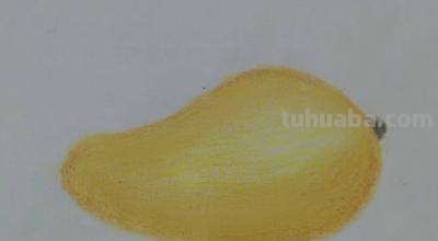 彩铅新手画什么（彩铅新手画什么好看）