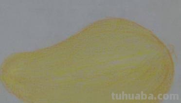 彩铅新手画什么（彩铅新手画什么好看）