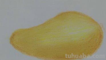 彩铅新手画什么（彩铅新手画什么好看）