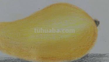 彩铅新手画什么（彩铅新手画什么好看）