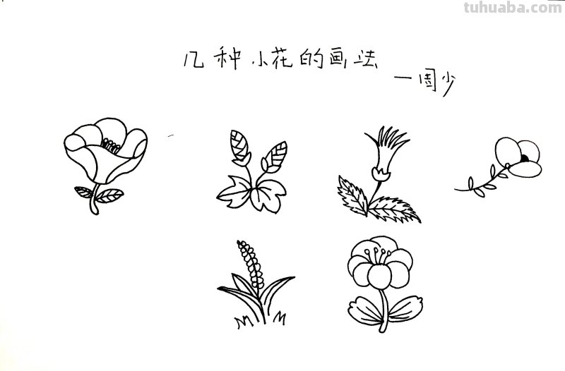 周末就适合画这种简笔画,一学就会! 周末就适合画这种简笔画,一学就会!