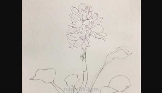 水溶性彩铅花怎么画（水溶性彩铅画花教程）