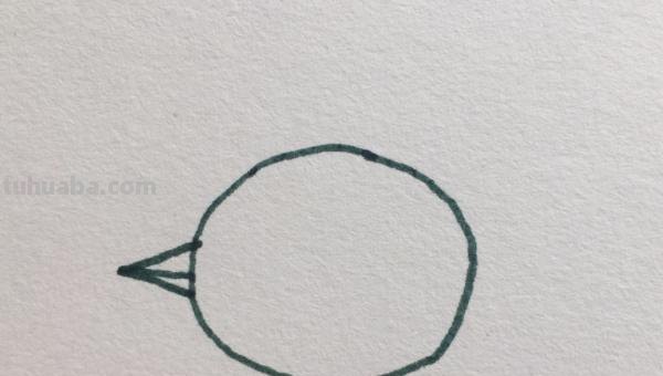 简笔画小鸡怎么画（简笔画小鸡怎么画可爱）