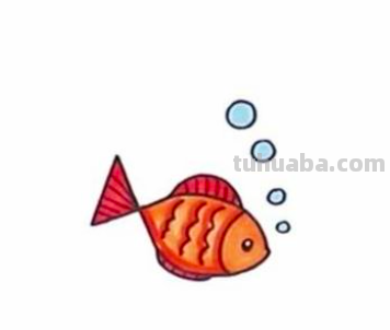 小鱼怎么画简笔画（海底世界的小鱼怎么画简笔画）