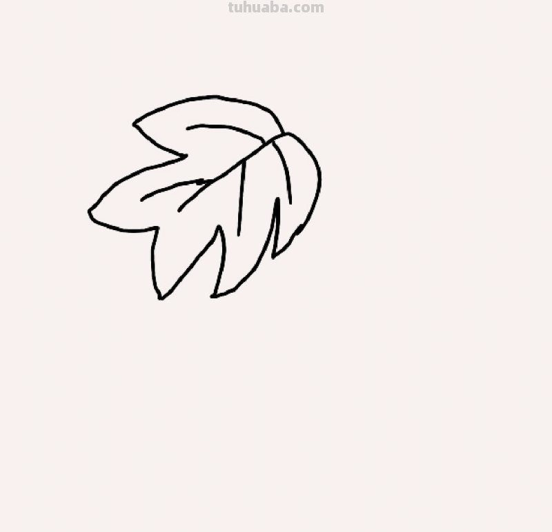 葡萄怎么画简笔画（葡萄怎么画简笔画图片）