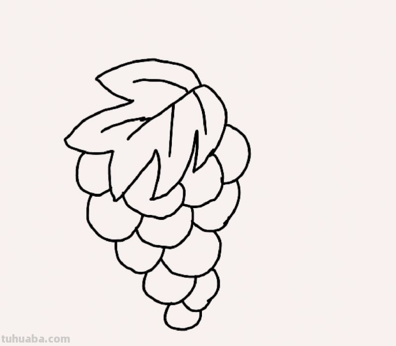 葡萄怎么画简笔画（葡萄怎么画简笔画图片）