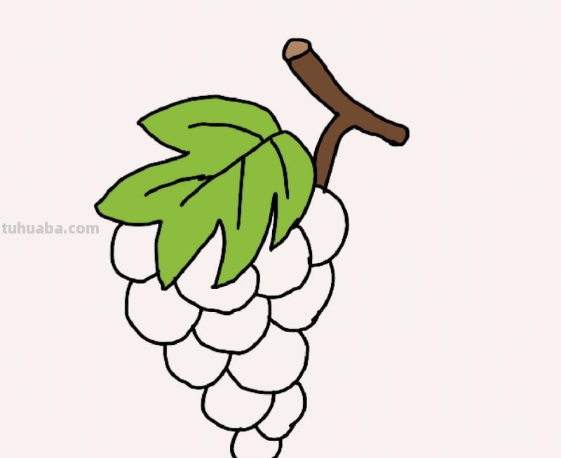 葡萄怎么画简笔画（葡萄怎么画简笔画图片）