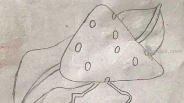 粽子彩铅画怎么画（粽子彩铅画怎么画好看）