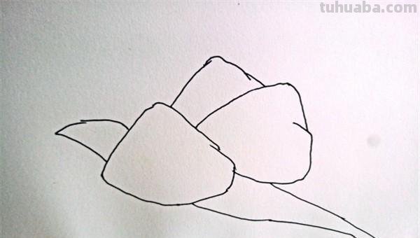 粽子彩铅画怎么画（粽子彩铅画怎么画好看）