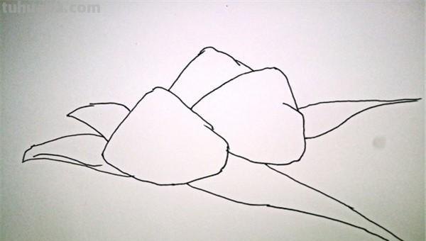 粽子彩铅画怎么画（粽子彩铅画怎么画好看）