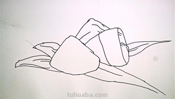 粽子彩铅画怎么画（粽子彩铅画怎么画好看）