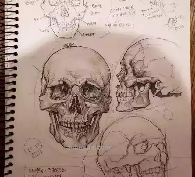 素描画不好?让这位95后高颜值小姐姐教你,简直就是教科书级别啊 素描画不好?让这位95后高颜值小姐姐教你,简直就是教科书级别啊