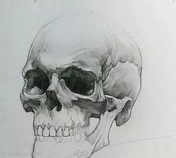 素描画不好?让这位95后高颜值小姐姐教你,简直就是教科书级别啊 素描画不好?让这位95后高颜值小姐姐教你,简直就是教科书级别啊