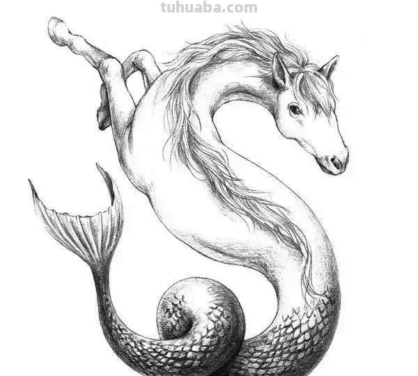 简洁明了｜素描