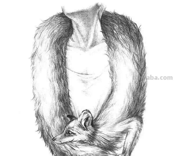 简洁明了｜素描